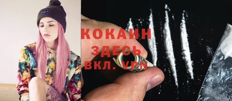 kraken зеркало  Кингисепп  КОКАИН Перу 